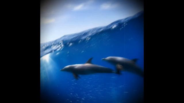 REMIKS КАК ДЕЛЬФИНЫ МЫ УХОДИМ В ПЛАВАНЬЯ смотреть онлайн