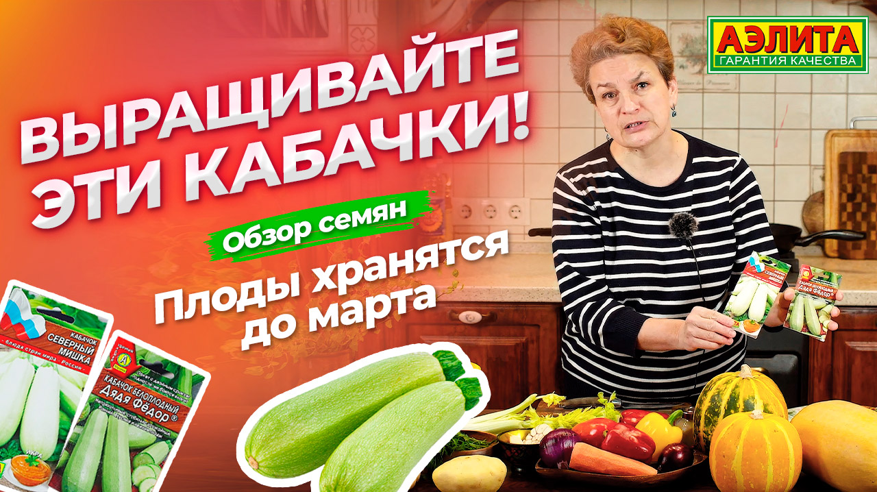 Кабачки, которые хранятся до марта! Рецепт вкусного блюда с жареными кабачками. смотреть онлайн