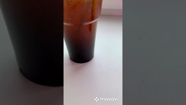 Черенкование туи в Гидрогеле для рассады