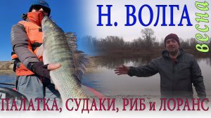 Мы в ШОКЕ! от РЫБАЛКИ первый РАЗ  на Волге ВЕСНОЙ. ПАЛАТКИ, Спиннинг, СУДАКИ, РИБ +9.9, Лоранс
