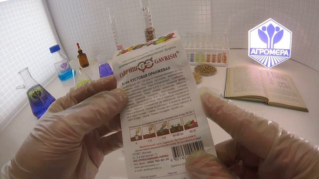 Тыква Кустовая Оранжевая. Гавриш смотреть онлайн