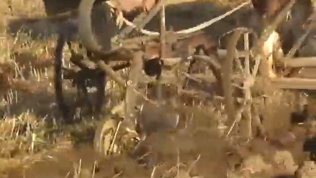 лошади пашут смотреть онлайн