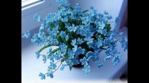 Любимый бисер-Незабудки из бисера