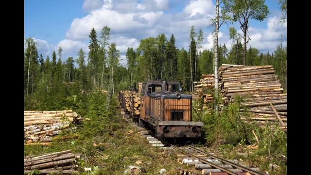 Аникинская УЖД