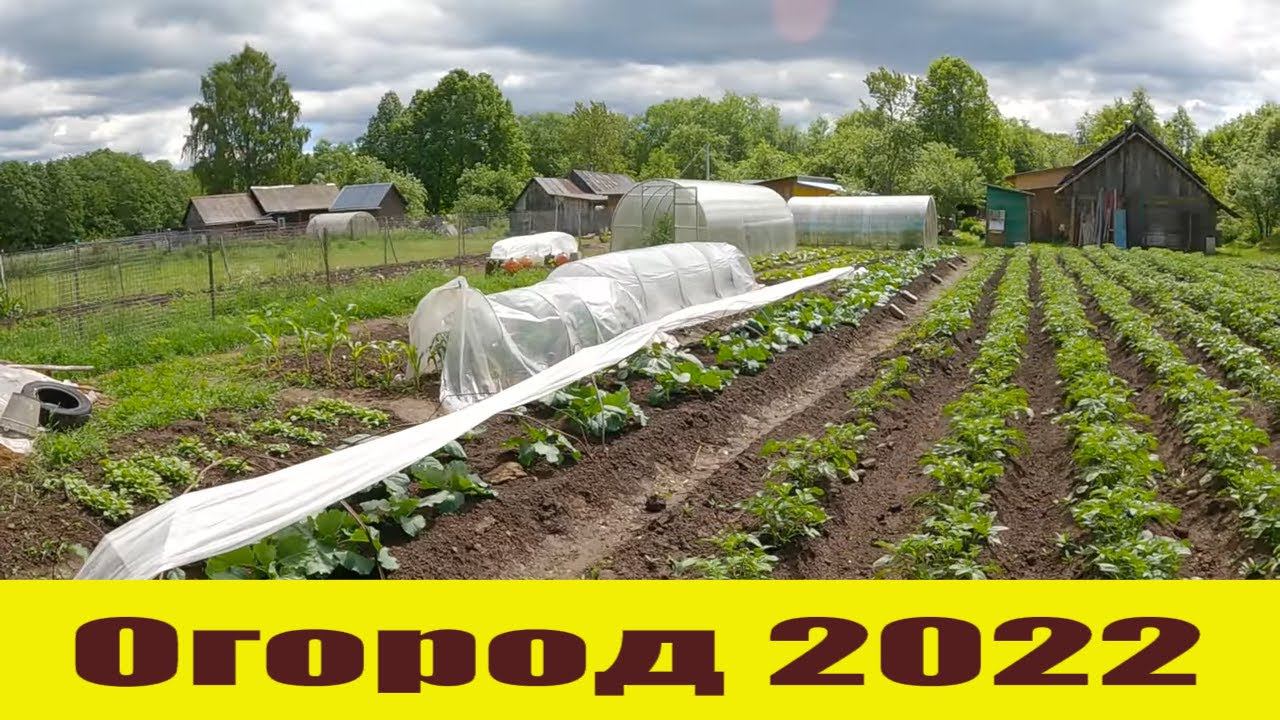 "Ни на кого никогда не надеясь..." Деревенский "антикризисный" огород в этом году! смотреть онлайн