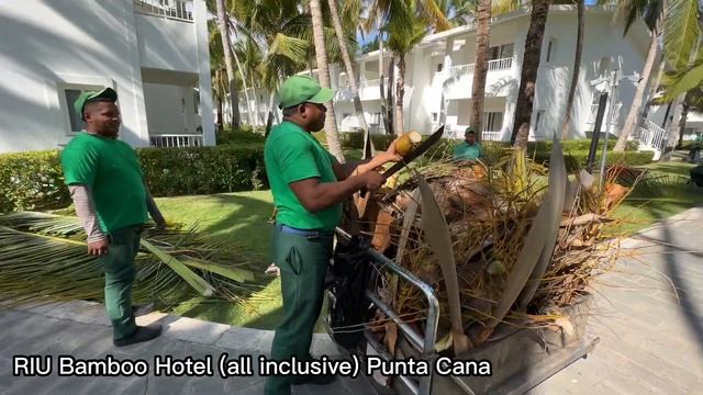 Punta Cana | Punta Cana Dominican Republic Travel | All-Inclusive Resort, Beaches, Hard Rock Cafe смотреть онлайн