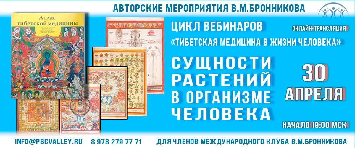 30.04.2020 Вебинар «Сущности растений в организме человека» смотреть онлайн