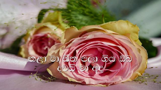 Hade Kothanaka Ho Hindi Oba Karaoke (without voice) හදේ කොතැනක හෝ හිඳී ඔබ смотреть онлайн