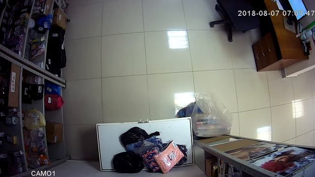 video 127 0 0 1 Прием 07 08 18 12 17 00 12 26 20 смотреть онлайн