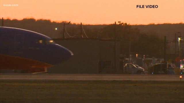 Steve Adler Segment смотреть онлайн