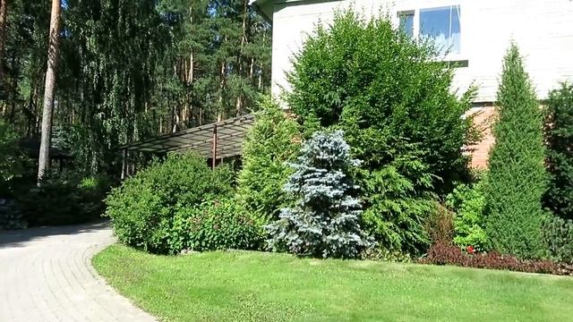 ВЛОГ #14 Алёнин сад 2017 ? Убийство, урожай, Катя, цветы, бальзамин, питомник Балтэзерс смотреть онлайн