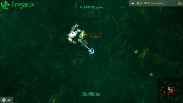 Frogar.io - Take that, MrsRage! смотреть онлайн