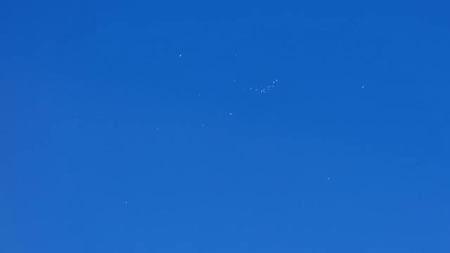 Голуби + лень +хищники = боязнь потерь Doves + laziness + predators = fear of loss смотреть онлайн