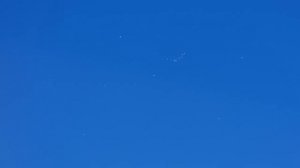 Голуби + лень +хищники = боязнь потерь Doves + laziness + predators = fear of loss