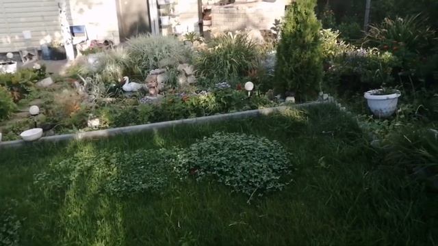 Дача на 1 августа. Закончили кладку бани.