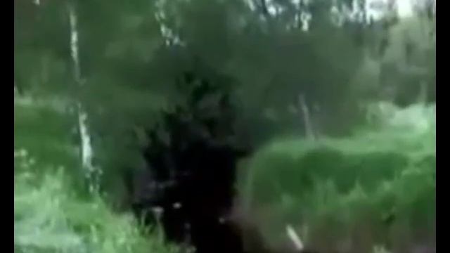 Для чего людей сгоняют в города? смотреть онлайн