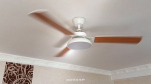 Потолочный вентилятор.