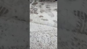 шины Westlake SL309(Goodride).реальный отзыв. 3 часть. заключительная!))