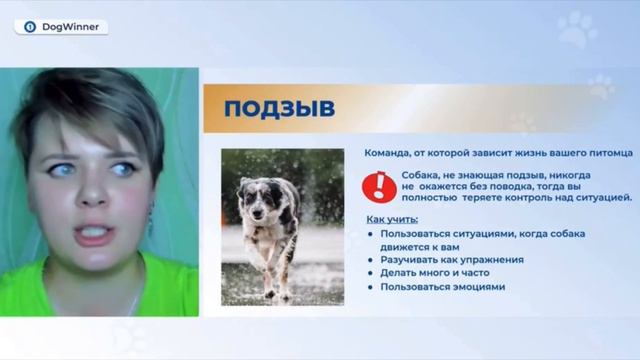 Почему подзыв является самой важной командой для собак? смотреть онлайн
