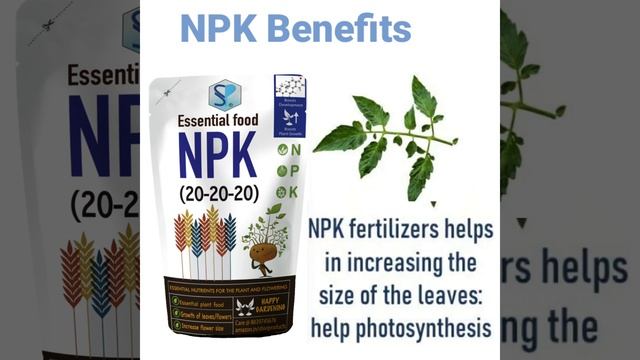 Shiviproducts | What is NPK 20 20 20 Fertilizer and how to use it смотреть онлайн