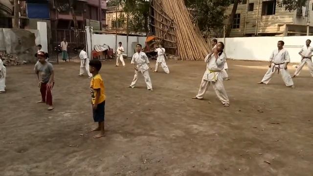 Kyokushin Karate training смотреть онлайн