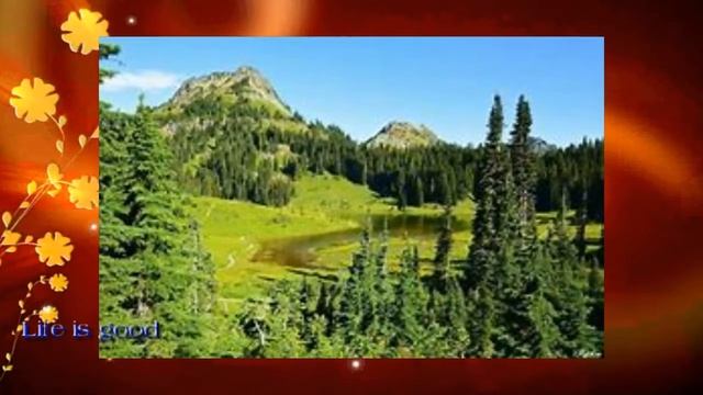 Как защититься от сглаза // Простые, но мощные техники ! смотреть онлайн