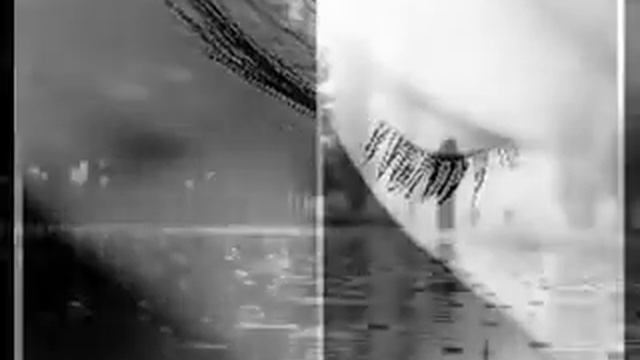 Видеоролик по стихотворению А. Фета "Напрасно" смотреть онлайн