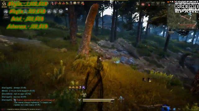 Black Desert (приватный сервер Acharnes)