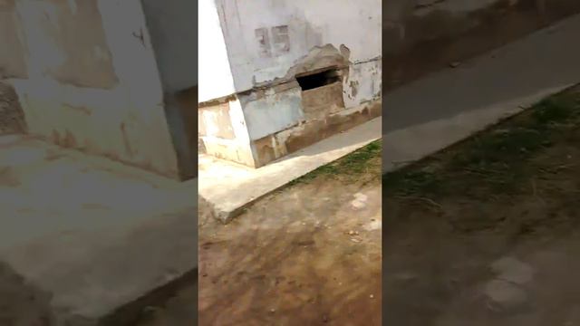 Древняя машина смотреть онлайн