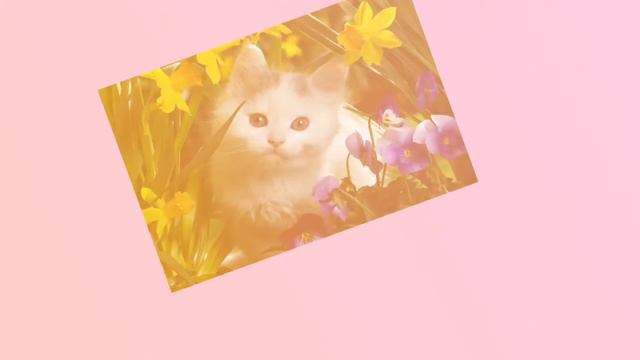 Тест кто заплачет тот девочка смотреть онлайн