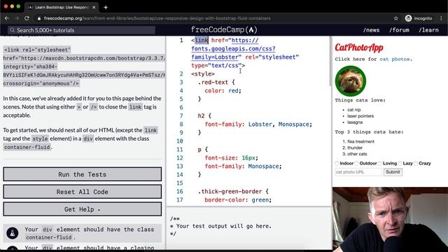 Use Responsive Design with Bootstrap Fluid Containers - Bootstrap - Free Code Camp смотреть онлайн