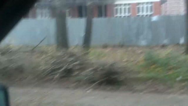 Богородский, Щёлково. смотреть онлайн