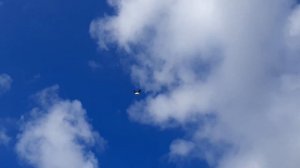 Николаевские голуби.Крым.В гостях у Александра Бахчисарай Ароматное. 1.03.20 г. Ролик 1.