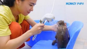 Monkey Pupu undress himself and ask his Mom to let him swim