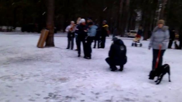 SonyaSmail:) Тренировка моей собаки смотреть онлайн
