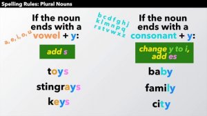 Spelling Rules for Plural Nouns 👏 How to Add -s, -es, -ies, or -ves to Nouns