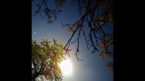 Sunbyonic - Feel the rythm from within