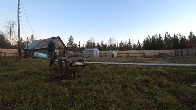 Лучшие ДРОВА БЕРЕЗА И СОСНА (заготовка) смотреть онлайн