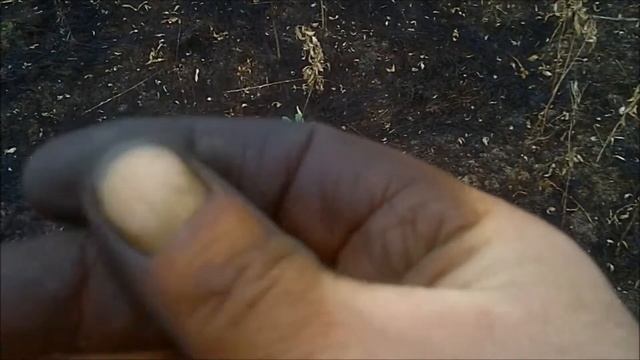 КОРОТКИЙ КОП МОНЕТА В КОНЦЕ смотреть онлайн