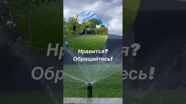 Полив газона смотреть онлайн