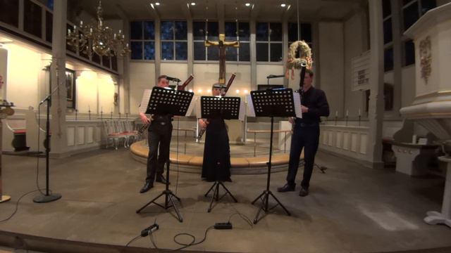 Nicola Termöhlen, Ants Marching - für Fagott-Trio смотреть онлайн