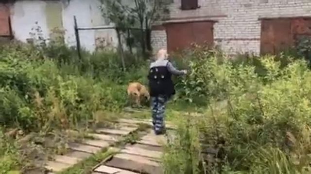 След малинуа Зоркинхоф Вагрант смотреть онлайн