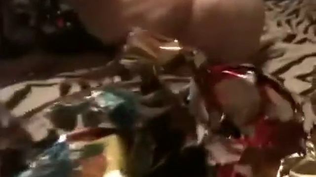 кот любит конфеты смотреть онлайн