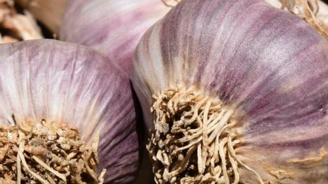 ЧЕСНОК ПОЛЬЗА И ВРЕД | Можно ли есть много чеснока? смотреть онлайн