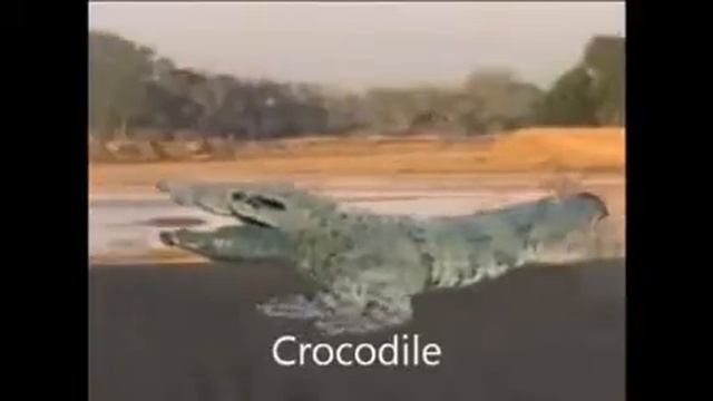 Двуногие животные бегут смотреть онлайн