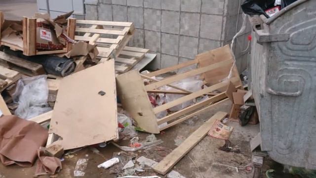 День Единства и борьбы с мусором в Северном Бутово. смотреть онлайн
