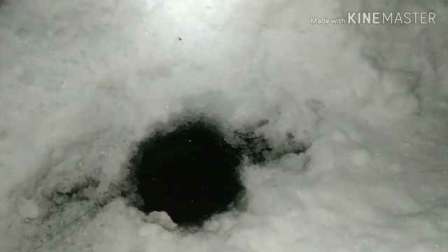 Зимняя рыбалка 2019. Канск! смотреть онлайн