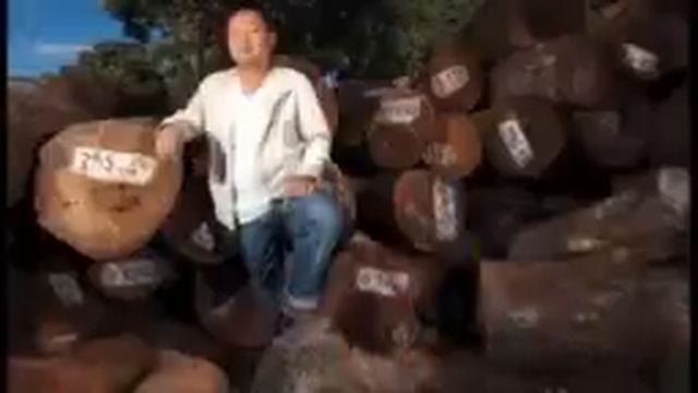 1часть ЛЕСОВ НЕТ! ВОДЫ НЕТ ПАРАЗИТЫ ВСЁ НА НАЖРУТСЯ СОХРАНИМ ЛЕС РЕПОСТ смотреть онлайн