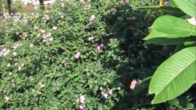 Мой мир "духовного периода" смотреть онлайн