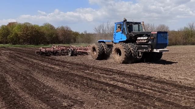 Т 150 не успевает. Продолжаем сееть подсолнечник. Спарка и Дракон в теме? смотреть онлайн